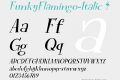 FunkyFlamingo-Italic