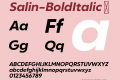 Salin-BoldItalic