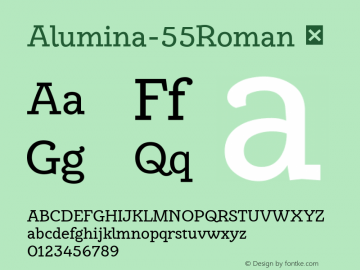 Alumina-55Roman