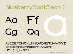 BlueberrySpotClean