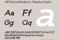 SKFalconMedium-MediumItalic