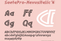 SaetaPro-NexusItalic