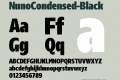 NunoCondensed-Black