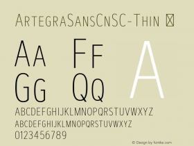 ArtegraSansCnSC-Thin