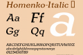 Homenko-Italic