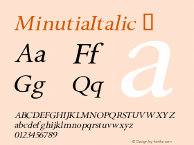 MinutiaItalic