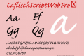 CaflischScriptWebPro