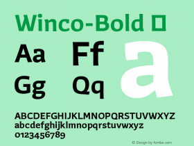 Winco-Bold