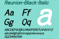 Reunion-Black-Italic