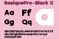 BasiquePro-Black