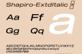 Shapiro-ExtdItalic