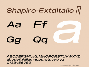 Shapiro-ExtdItalic