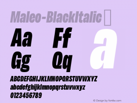 Maleo-BlackItalic