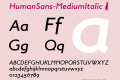 HumanSans-MediumItalic