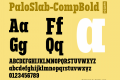 PaloSlab-CompBold