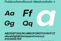 PublicaSansRound-MediumItalic