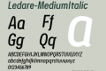 Ledare-MediumItalic