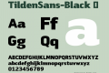 TildenSans-Black