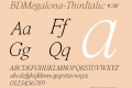 BDMegalona-ThinItalic