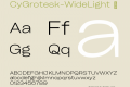 CyGrotesk-WideLight