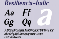 Resiliencia-Italic