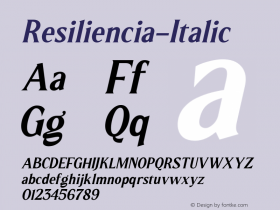 Resiliencia-Italic