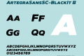ArtegraSansSC-BlackIt