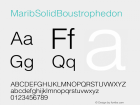 MaribSolidBoustrophedon