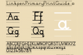 LinkpenPrimaryPrintGuide