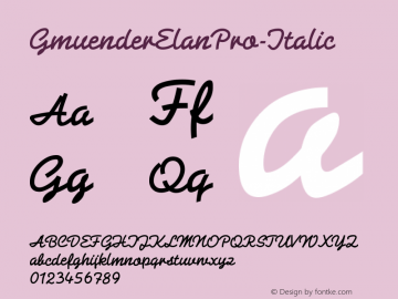 GmuenderElanPro-Italic