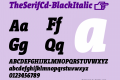 TheSerifCd-BlackItalic