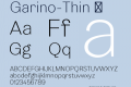 Garino-Thin