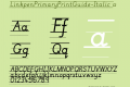 LinkpenPrimaryPrintGuide-Italic