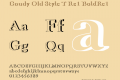 Goudy Old Style T Re1