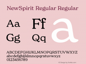 NewSpirit Regular