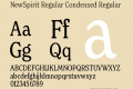 NewSpirit Regular Condensed