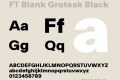 FT Blank Grotesk