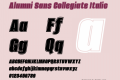 Alumni Sans Collegiate