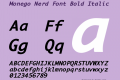 Monego Nerd Font