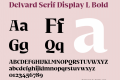Delvard Serif Display L