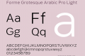 Forme Grotesque Arabic Pro