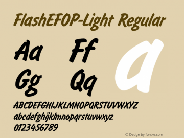 FlashEFOP-Light