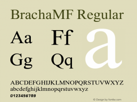 BrachaMF