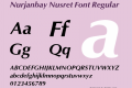 Nurjanbay Nusret Font