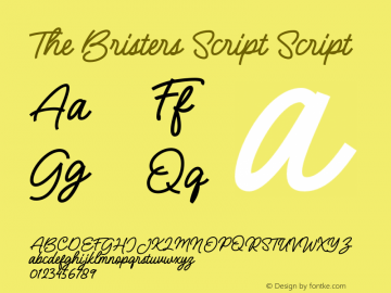 The Bristers Script