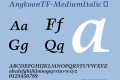 AngkoonTF-MediumItalic