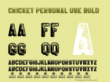 CRICKET PERSONAL USE