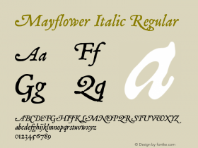 Mayflower Italic