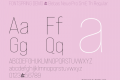 FONTSPRING DEMO - Bebas Neue Pro SmE Th