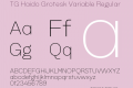 TG Haido Grotesk Variable